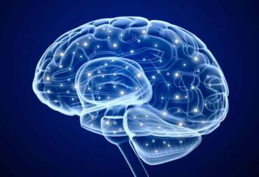 Olive Oil Improves Your Memory