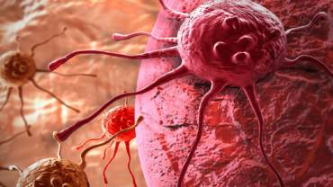 Olive Oil Helps Fight Cancer