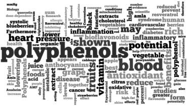 Biological activities of olive oil polyphenols