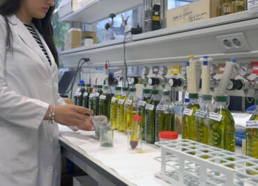 LIVA GROVES SA are pioneers in the research of Health Claim Olive Oil