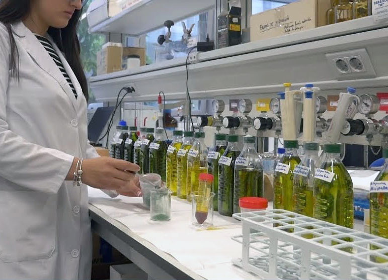 LIVA GROVES SA are pioneers in the research of Health Claim Olive Oil